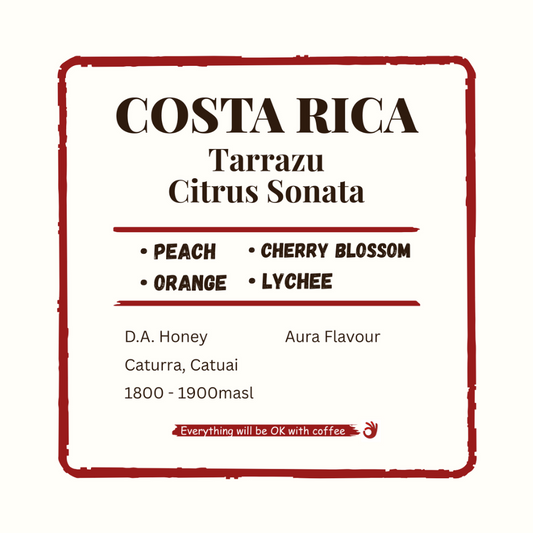 Costa Rica Tarrazu Citrus Sonata