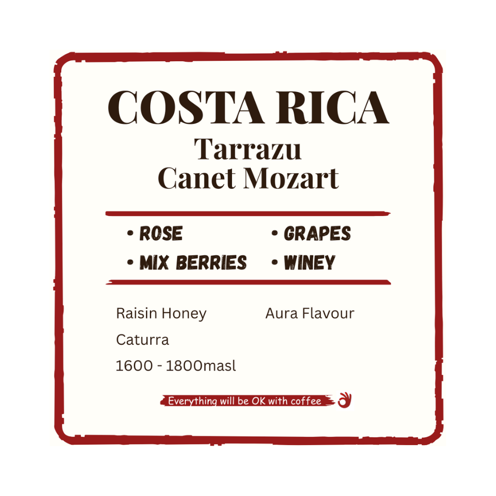 Costa Rica Tarrazu Canet Mozart