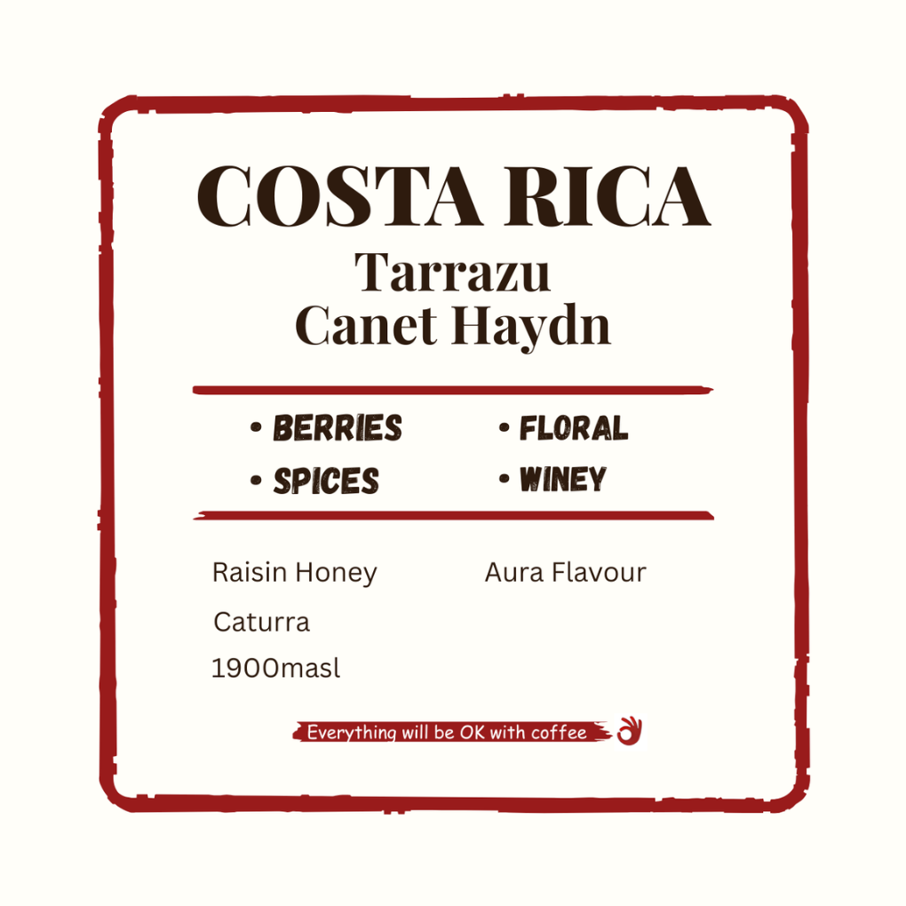 Costa Rica Tarrazu Canet Haydn