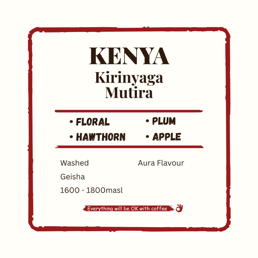 Kenya Kirinyaga Mutira