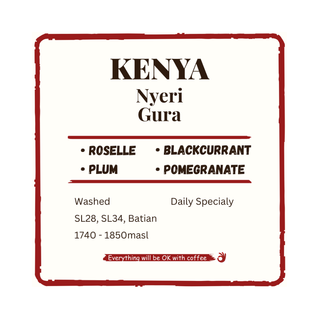 Kenya Nyeri Gura