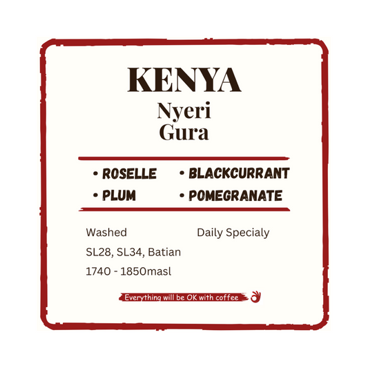 Kenya Nyeri Gura
