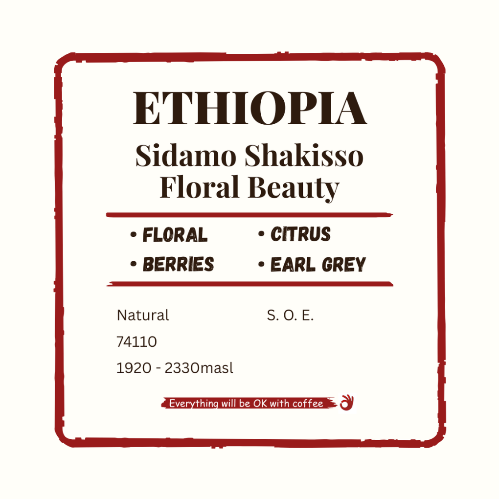 Ethiopia Sidamo Shakisso Floral Beauty